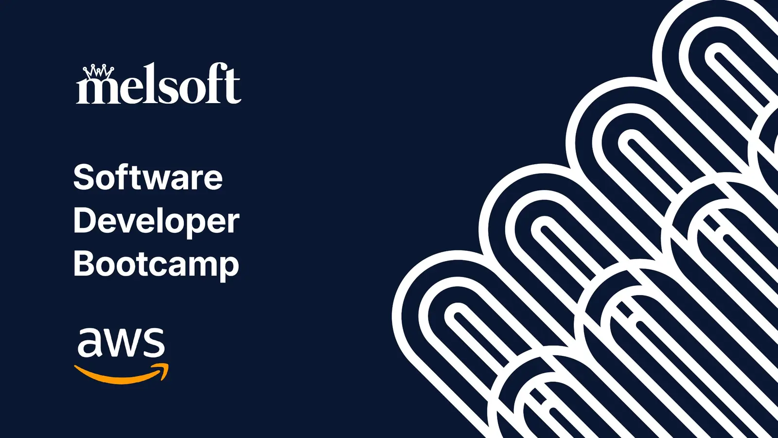 AI Software Developer